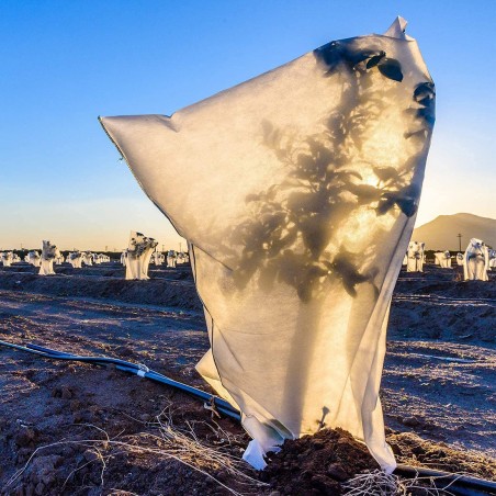 Cappuccio 4 pezzi Protezione Pianta TNT 100X80 Sacchi Antigelo Telo Copri Piante