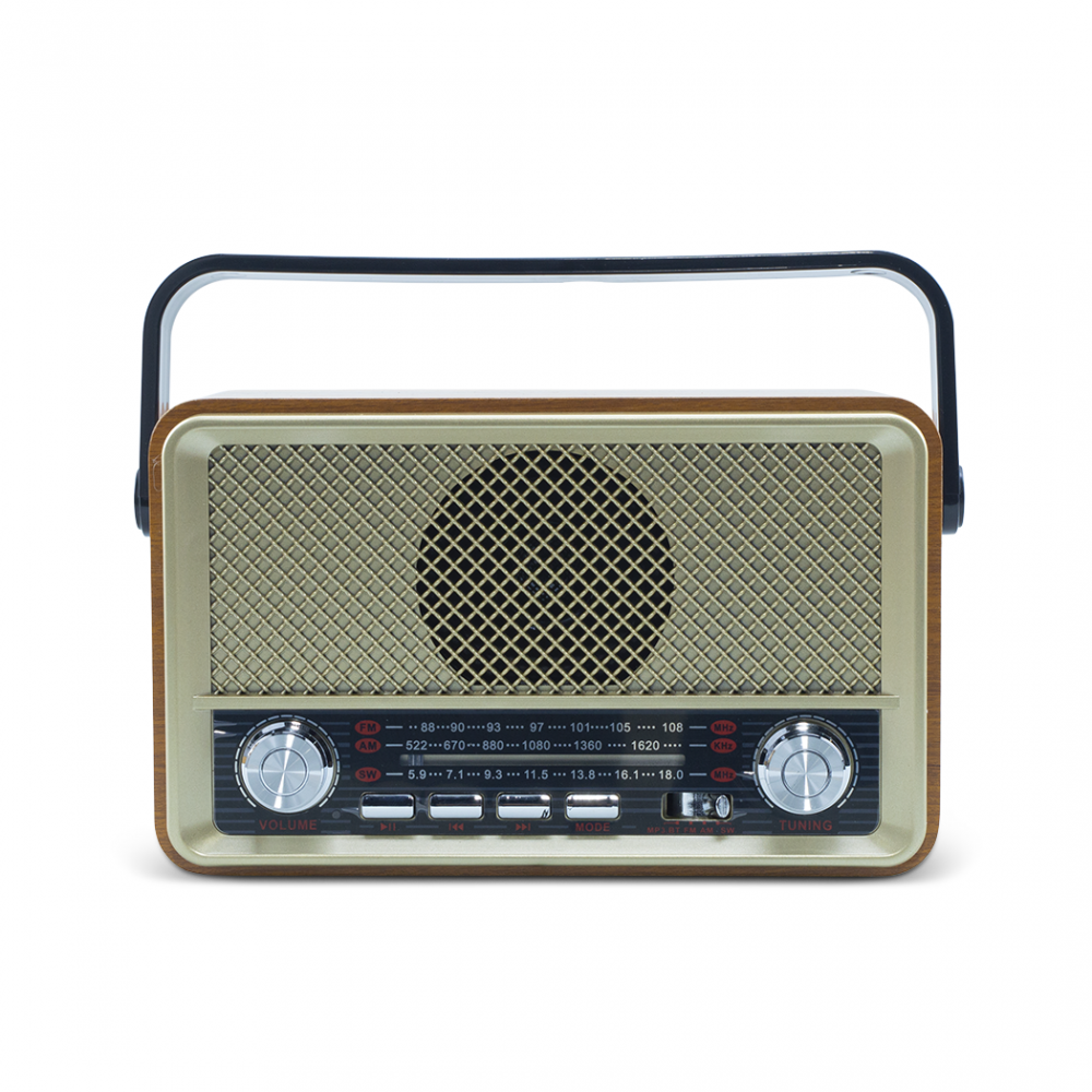 Radio FM Retro Wireless Q-SY500 Altoparlante...