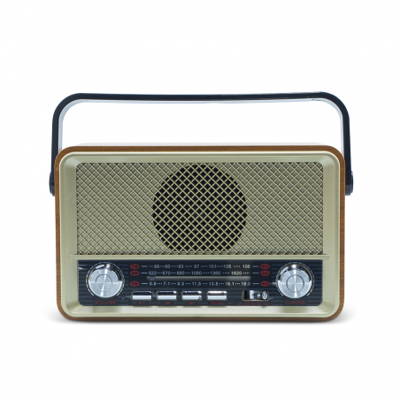 Radio FM Retro Wireless Q-SY500 Altoparlante MP3 Portatile Bluetooth USB AUX TF