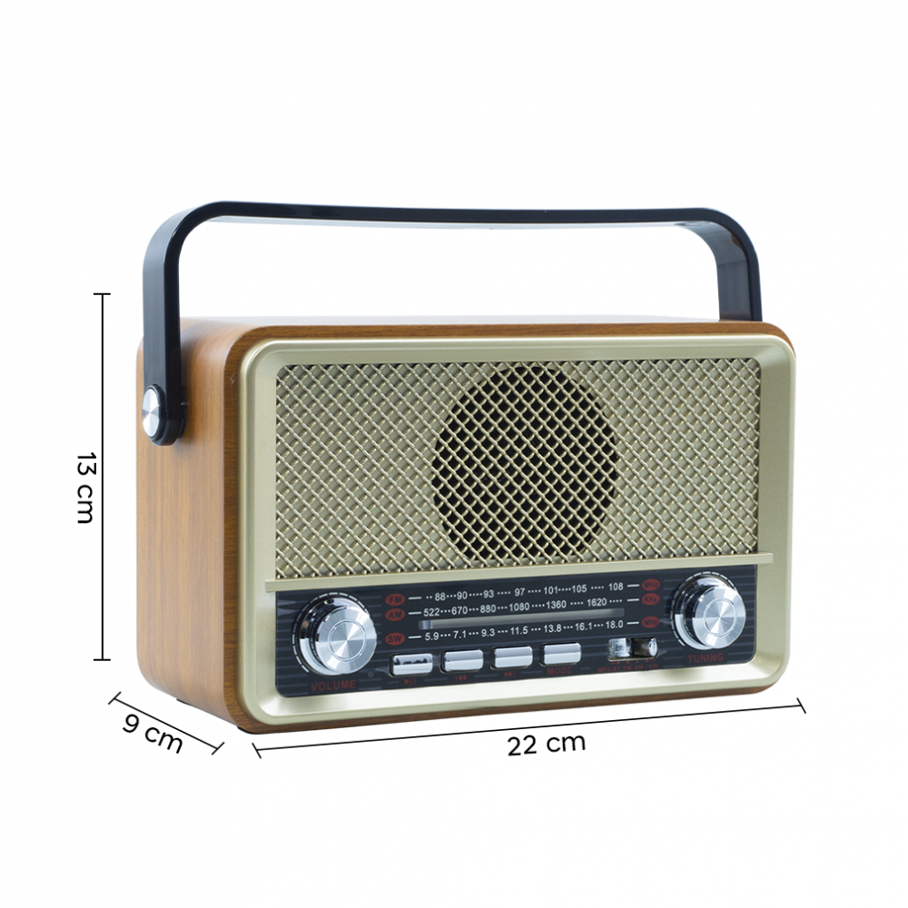 Radio FM Retro Wireless Q-SY500 Altoparlante...