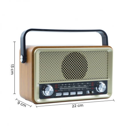 Radio FM Retro Wireless Q-SY500 Altoparlante MP3 Portatile Bluetooth USB AUX TF