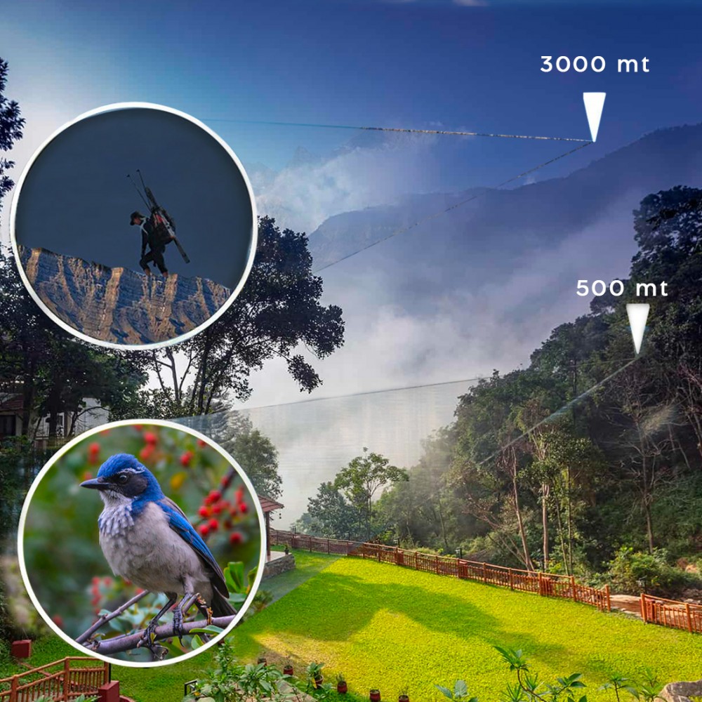 Binocolo 10x25 Professionale Compatto 30012...