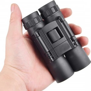 Binocolo 10x25 Professionale Compatto 30012 Mini Binocolo... 2