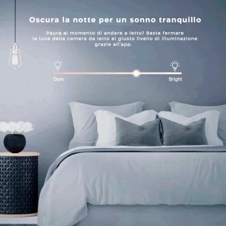 Interruttore Dimmerabile SONOFF D1 Accensioni Luci Compatibile con Alexa Google
