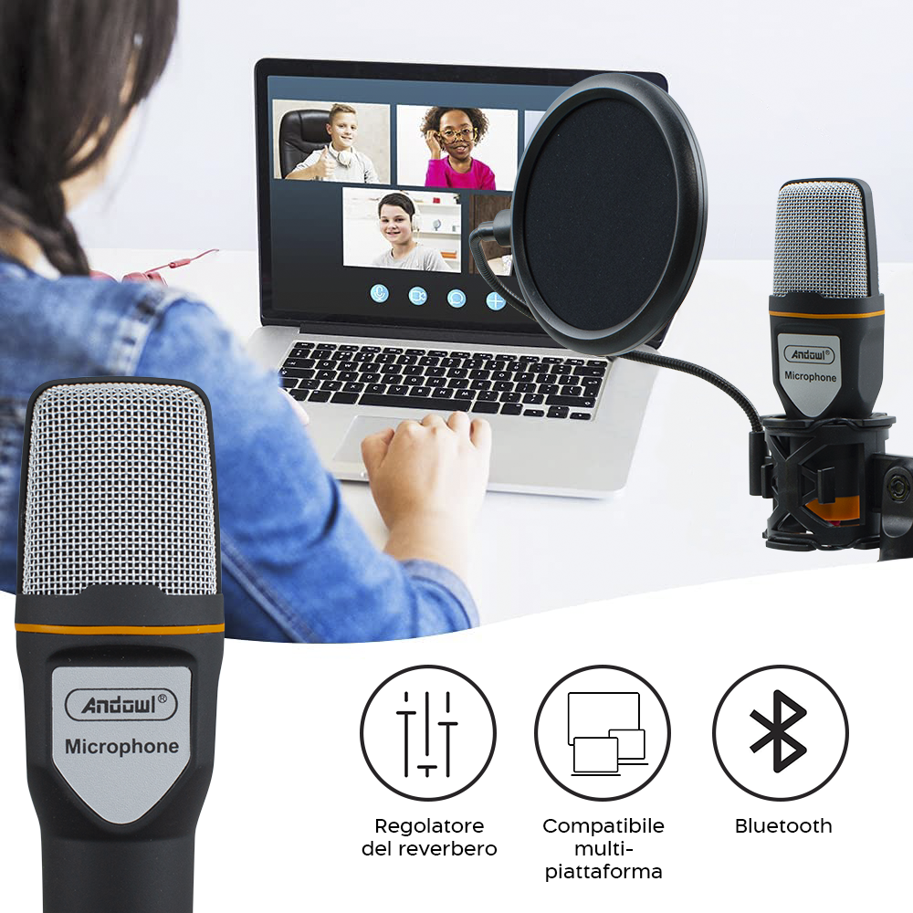 Kit Microfono a Condensatore per PC con Scheda...