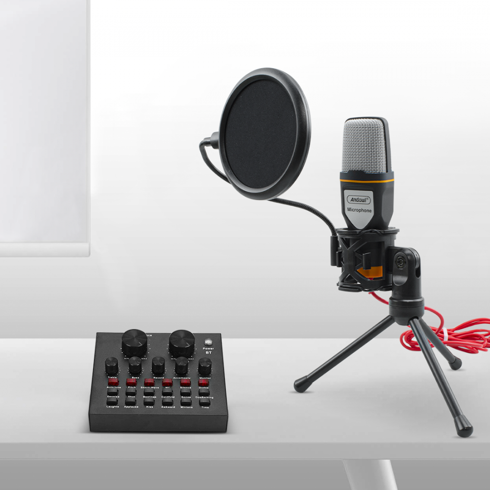 Kit Microfono a Condensatore per PC con Scheda...