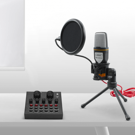 Kit Microfono a Condensatore per PC con Scheda Audio Filtro Antipop e Treppiedi