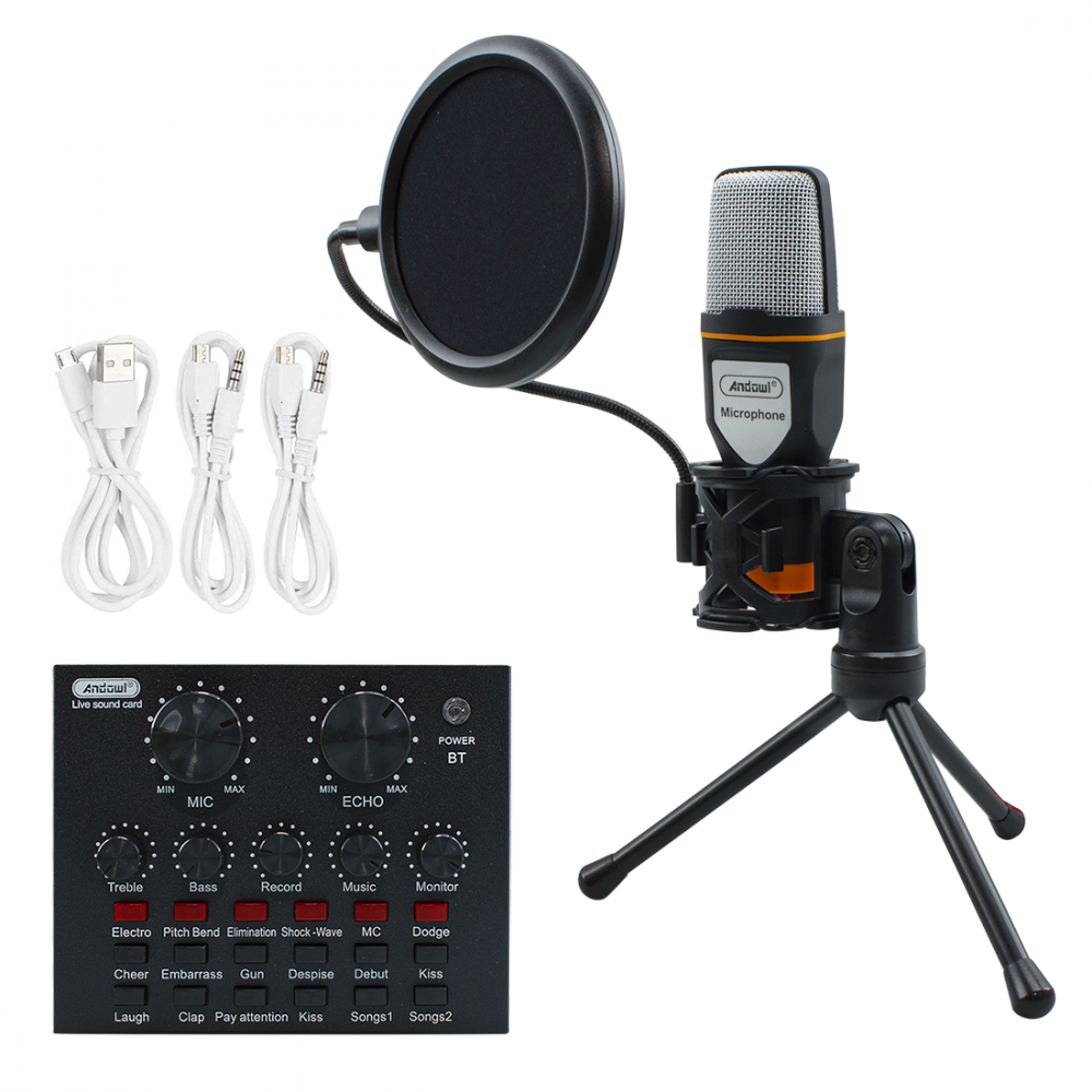 Kit Microfono a Condensatore per PC con Scheda Audio Filtro Antipop e Treppiedi