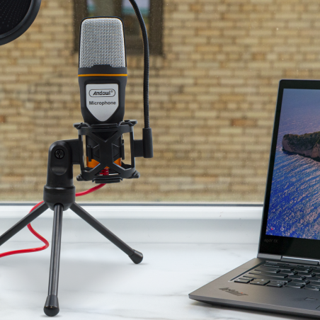 Kit Microfono a Condensatore per PC con Scheda Audio Filtro Antipop e Treppiedi