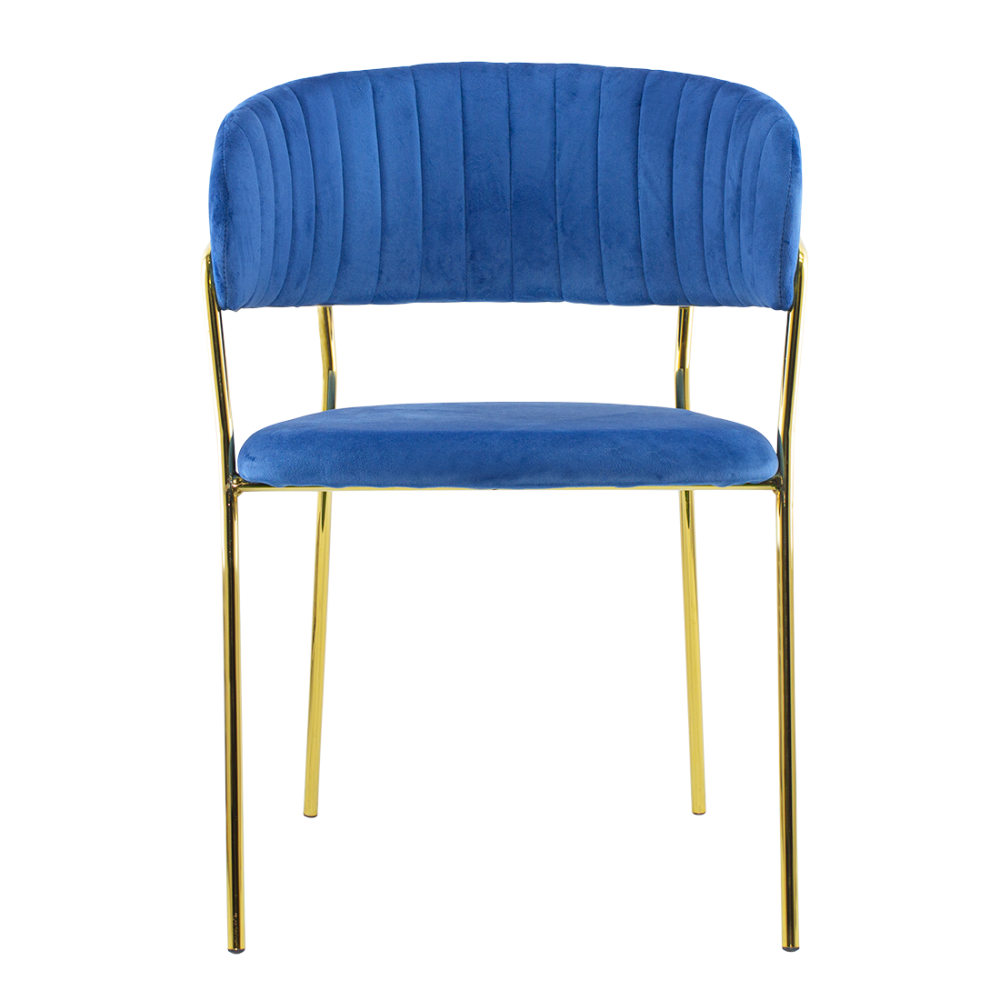 Sedia da Pranzo DAFNE Velluto Poltroncina Soggiorno Tonda Design Struttura Oro