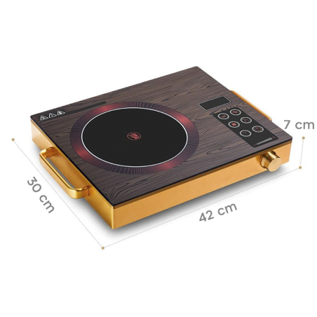 Piano Cottura Induzione Elettrica Portatile 2200W con Display LED Comandi Touch