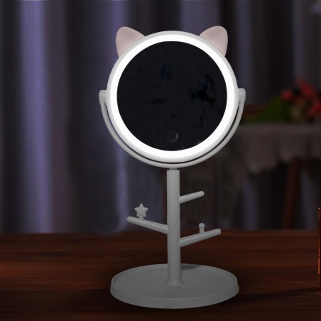 Specchio Make Up Cosmetico Luce LED da Tavolo con Porta Gioielli Ricaricabile