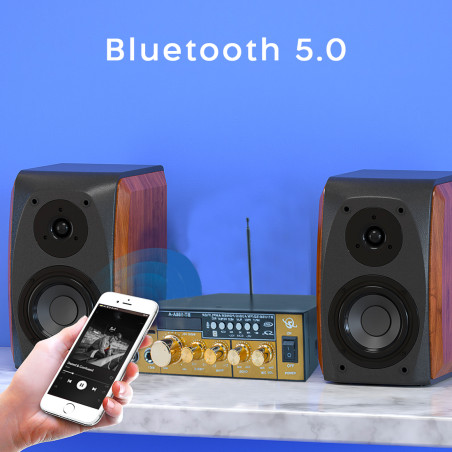 Amplificatore Karaoke Bluetooth Stereo HiFi MP3 Display LCD Ingresso USB e SD