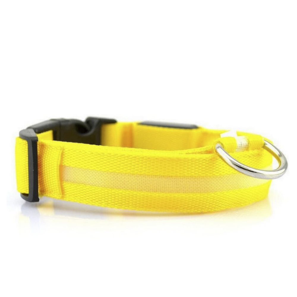 Image of Collare regolabile luminoso a led per cani e gatti vari colori e misure Giallo XL