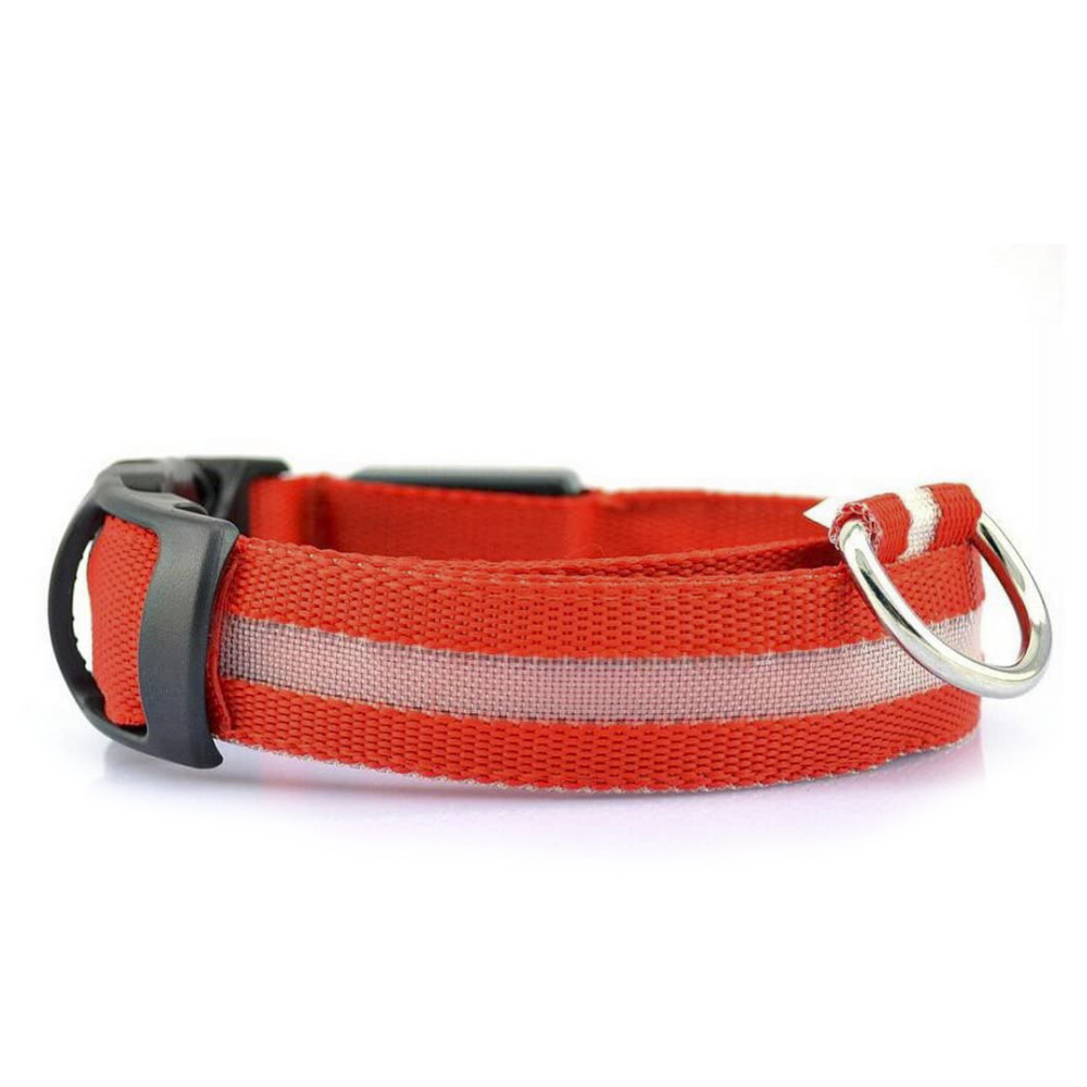 Image of Collare regolabile luminoso a led per cani e gatti vari colori e misure Rosso L