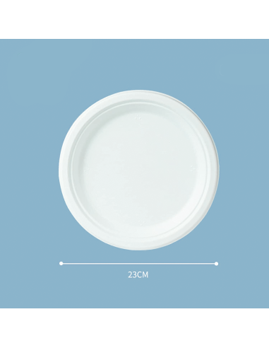Pack 60 Piatti Piani Carta 23cm Biodegradabili...
