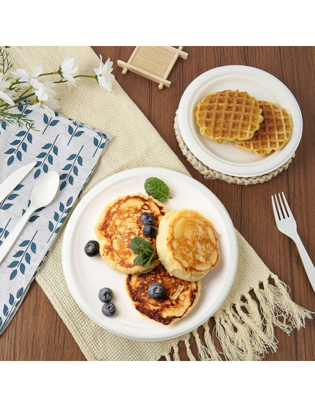 Pack 400 Piatti Piani Carta 23cm Biodegradabili Monouso Ecologici Compostabili