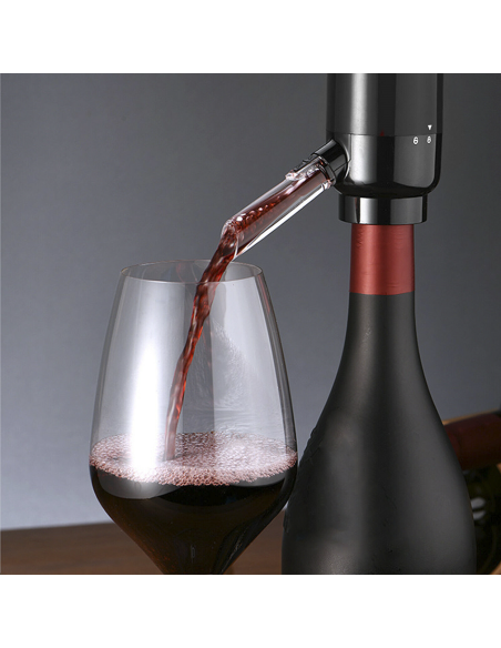 Aeratore Elettrico per Vino Erogatore Automatico Pompa con Tubo per Ossidazione