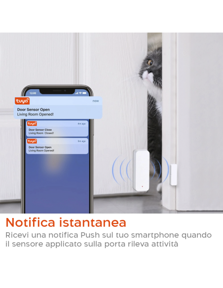 Sistema di Allarme Sicurezza Porte e Finestre Wi-Fi Notifica con App Smartphone